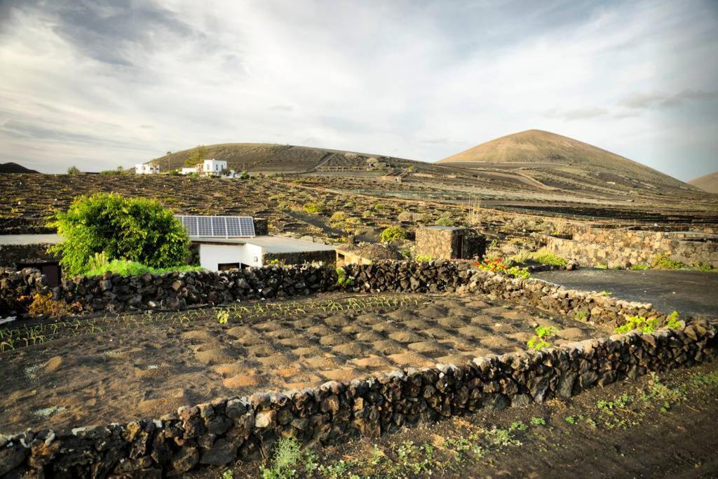 Los Frailes Eco Finca A Tinajo Exteriör bild